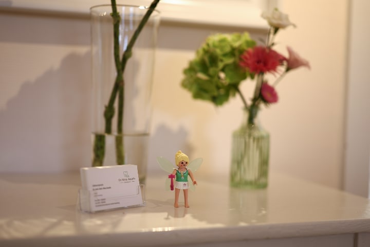 Schienen Behandlung in der Zahnarztpraxis Dr. Asseln am Tibarg in Hamburg Niendorf